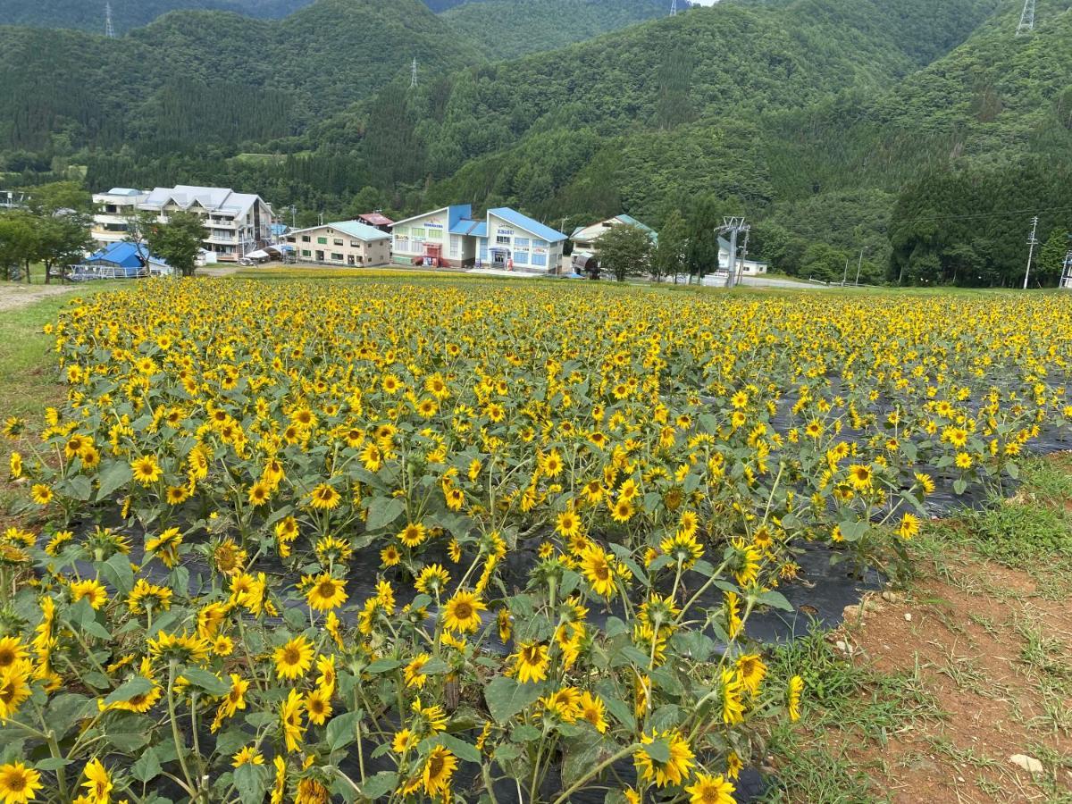 花緑里-Hanamidori-乙原の宿 岐阜下呂温泉郡上飛騨金山湖畔リゾート 구조 외부 사진